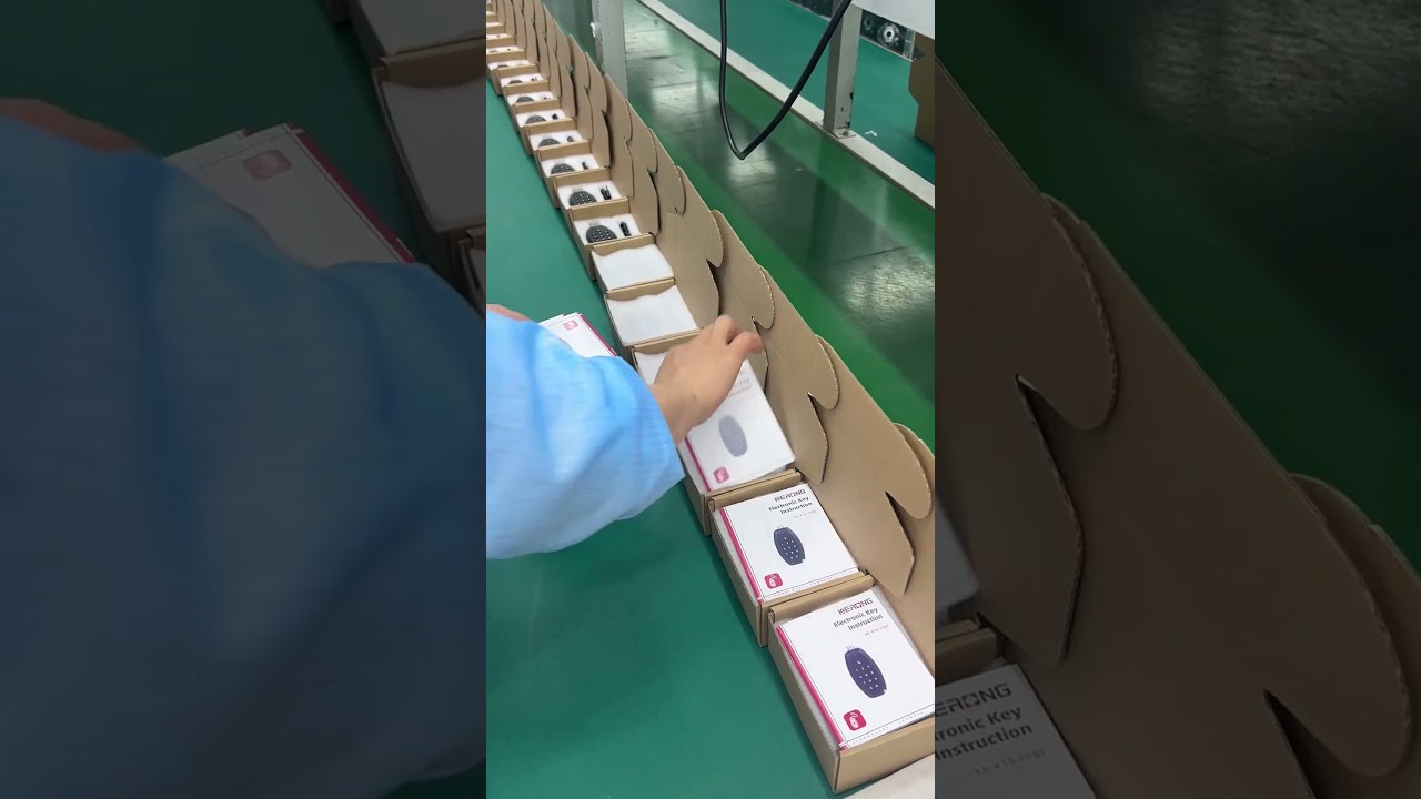 Trusted Passive Locks with 23 Years OEM/ODM Experience | Bulk Order & Custom Security Solutions