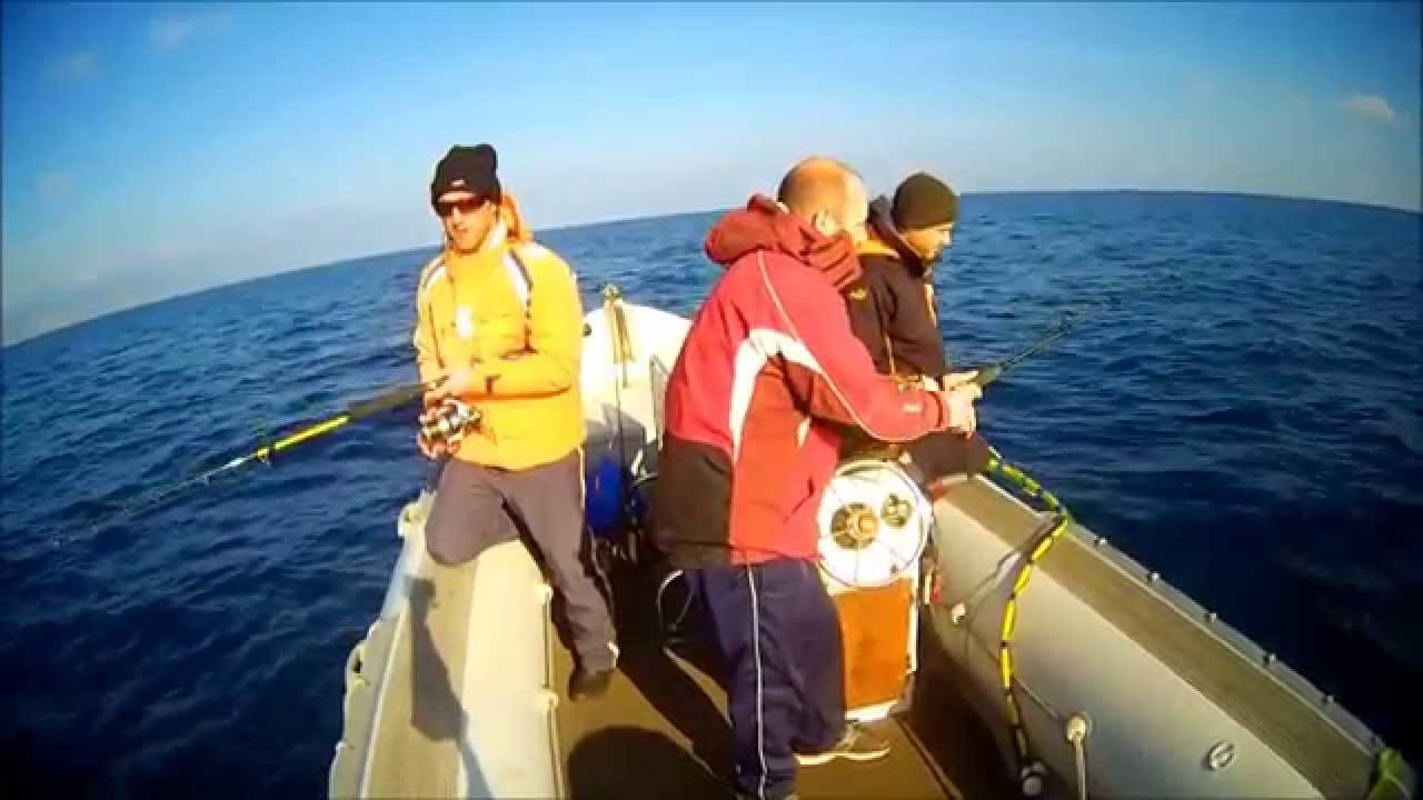 shimano bottom ship dikelas.gr