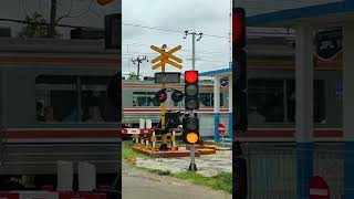 Traffic Lights Railroad Crossing JPL 161 Cikoya #shorts #railroadcrossing #trafficlights