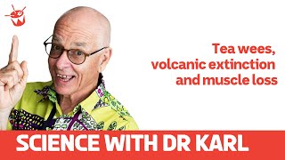 Tea wees, volcanic extinction and muscle loss | Science With Dr Karl