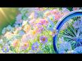 100% Deep Relaxation Music Therapy • Instantly Clears Your Mind &amp; Releases All Stress 🌸💗