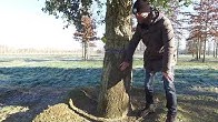 Van den Berk Nurseries - YouTube - 