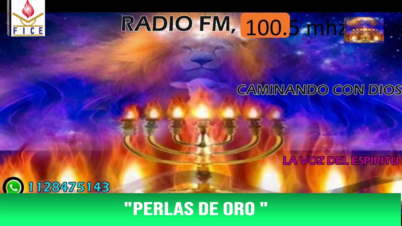 perla de oro