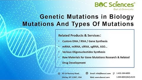 What are Mutations? - An Introduction to Genetic Mutations - BOC Sciences