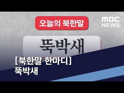[북한말 한마디] 뚝박새 / MBC 통일전망대 (2019년 4월 6일)