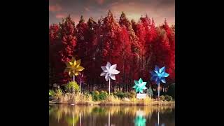 This Is Zhengzhou Botanical Garden. Location Zhengzhou Zhongyuan District.