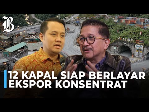 Freeport Dapat Izin Ekspor 14 Juta Ton Konsentrat Tembaga