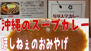 【ほしねぇのお土産】沖縄の人気スープカレー！琉球大学カレーを食べてみた！