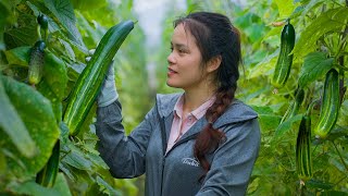 「Spices of Four Seasons」The Unique Scent Comes From Cucumber Harvest Goes To Market Sell | Mu Spring