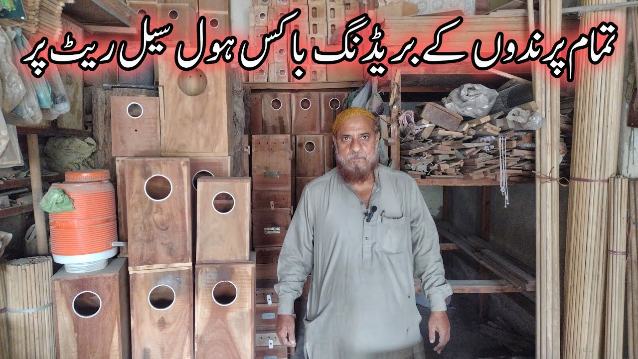 Посетите оптовый магазин боксов для разведения птиц в Карачи | Доступны все виды боксов для разве...