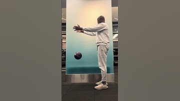 Tracker Video Analysis Without Tracker