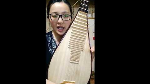 Learn Pipa Online - Proper Pipa Resting Position.