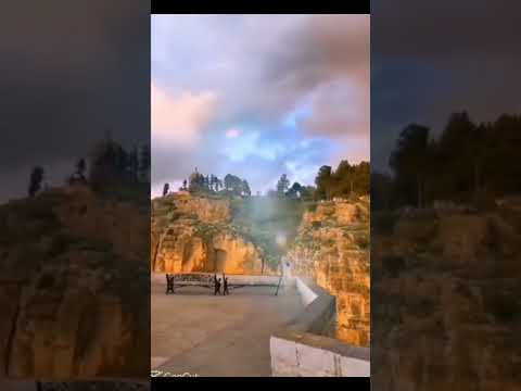 Algérie mon amour 