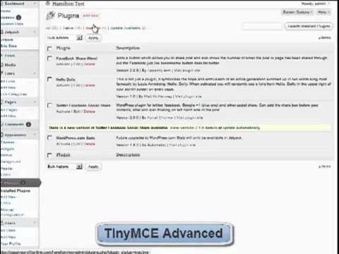Advanced TinyMCE Plugin for Wordpress