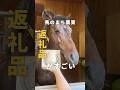 ふるさと納税はこれに決まり🐴✨#ふるさと納税　#TCC引退競走馬ファンクラブ　#馬　#引退競走馬