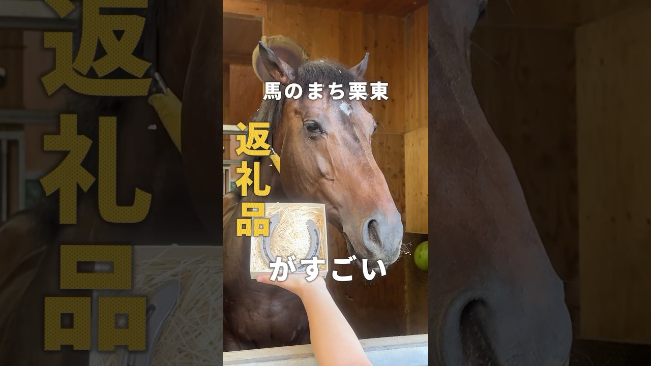 TCCホースシュー 世界に一つだけの蹄鉄/ 競馬 引退馬 引退競走馬 支援