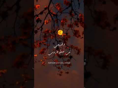 أحبيني بلا عقد كاظم الساهر حالات واتس اب 