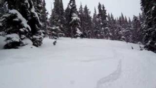 MOV02517