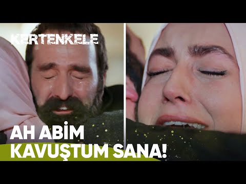 Ziya ve Betül sonunda KAVUŞTU! - Kertenkele 25. Bölüm