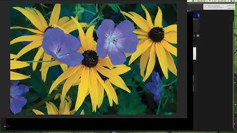 Gamut and Out of Gamut Colors