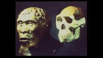 Ep 59 - The Many Assumptions About Java Man!