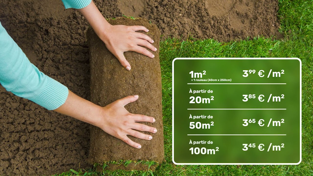 Gazon en rouleau Famiflora pour une belle pelouse vigoureuse 🌱