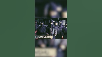 The Ninjas at the Service of the Government - Historical Curiosities - See U in History #shorts