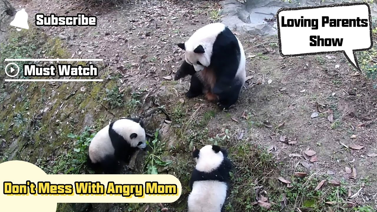 Watch Angry Mom