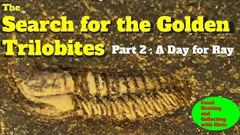 Search for the Lost Golden Trilobites 2: A day with Ray. Fossil Hunting and Collecting with Chris