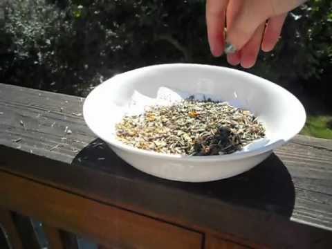 Video: What Is Chaff: Learn How To Winnow Seeds From Chaff
