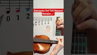 Kemanda Sol Teli Naturel Notalar Ve Sesleri🎶🎻 Resimi