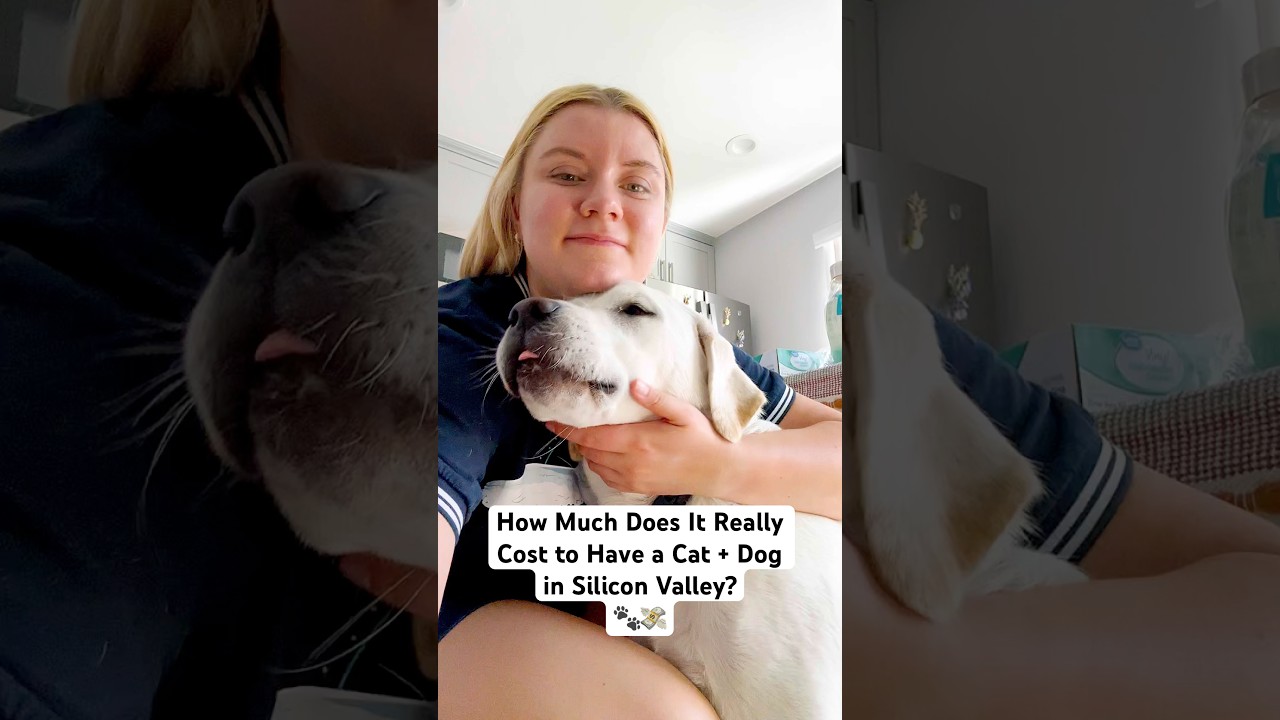 Life in Silicon Valley: Dog & Cat Expenses You Need to Know