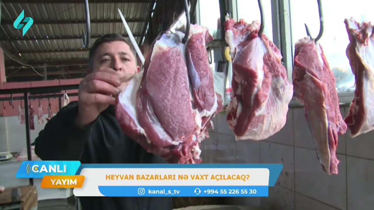 Heyvan bazarları nə vaxt açılacaq? | Canlı Yayım