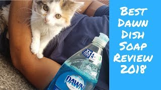 Best Dawn Dish Soap Review
