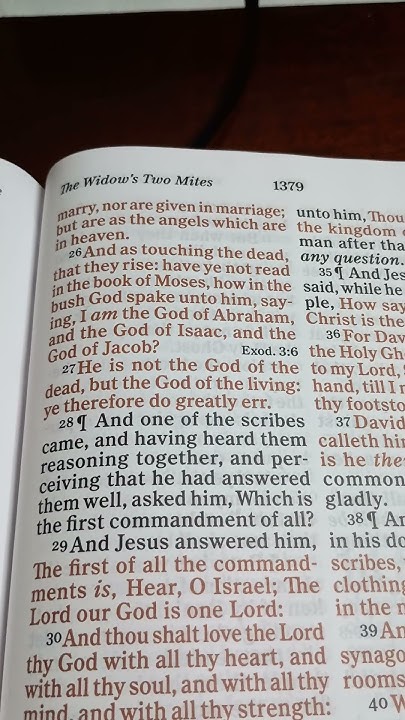 Bible Reading Mark Chapter 12 Verse 24 27 YouTube bible-reading-mark-chapter-12-verse-24-27-youtube