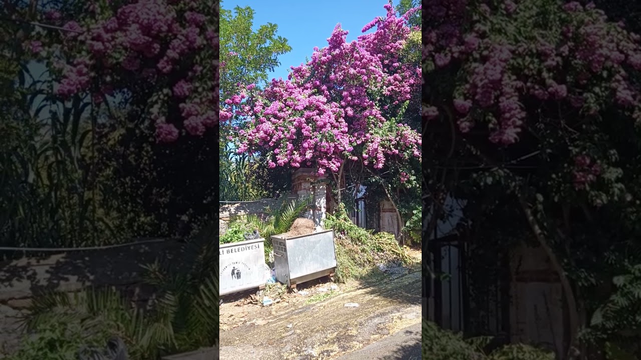 дом Троцкого на острове БююкАда