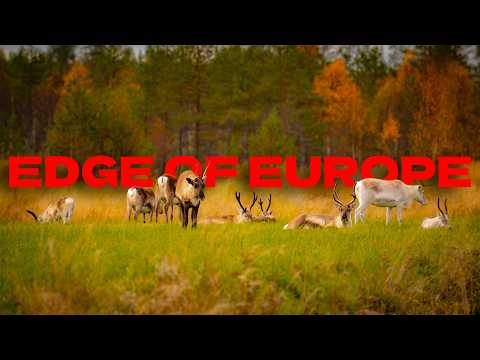 We Drove to the Edge of Europe - Lapland Road Trip (Part 1)