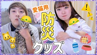 愛猫と避難する防災グッズを用意して猫専用防災バッグ作り!!!!【防災バッグ】