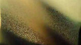 La Joconde Atomisée