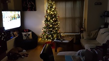 Amazon Echo turns on and off Hue Controlled Lights..