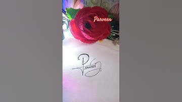 Parveen signature style comments your name like, share, subscribe #parveen #youtubeshorts #shorts