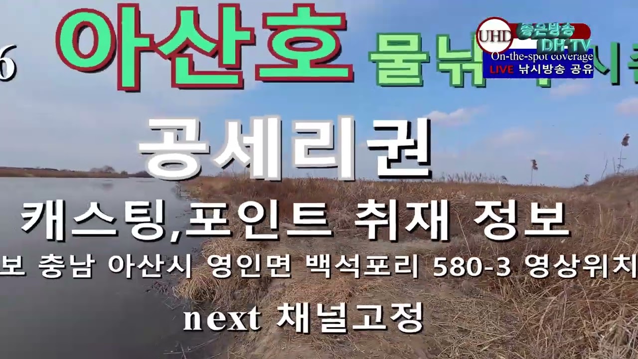 UHD주소정보채널 fishing 아산 & 공세리 구성리 물낚시 시즌 정보LIVE 좋은방송 DH TV 제작 구독 좋아요