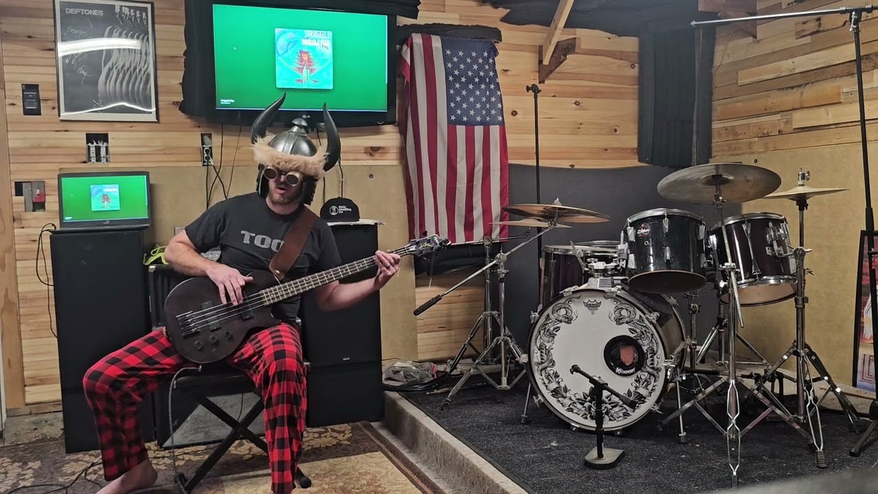 Still on Earth - Sniggle Pigs (Bass playthrough)