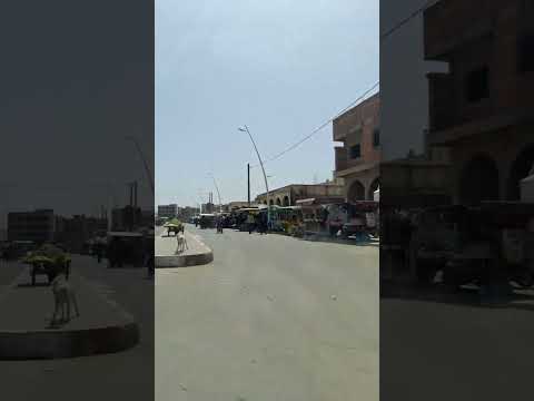 خميس الزمامرة ليوم