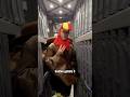 Oh my my come on and sing it with me! Happy Thanksgiving!! 🦃😂 #GobbleGobble