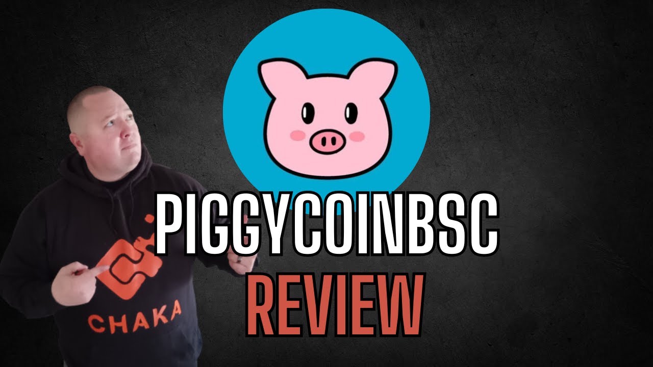 PiggyCoinBSC Review