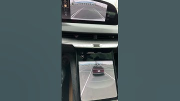 Lucid Air Surround view drive