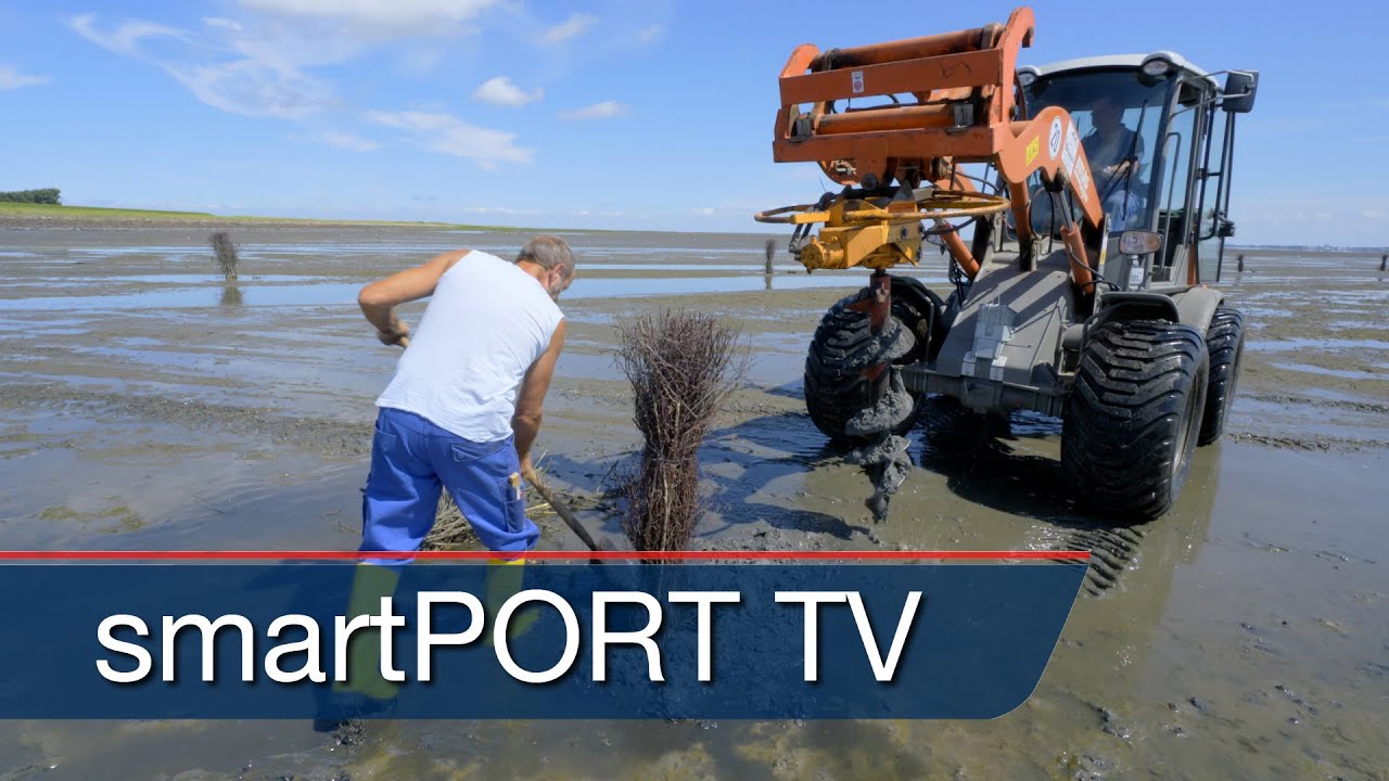 Neuwerk - Hamburgs Insel in der Nordsee (Teil 1)