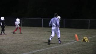Garrett rushes for TD