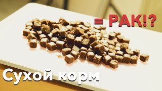 Как сухие корма вызывают онкологию Как сухие корма вызывают онкологию
